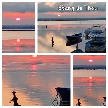 Elisabeth Lejlighed *